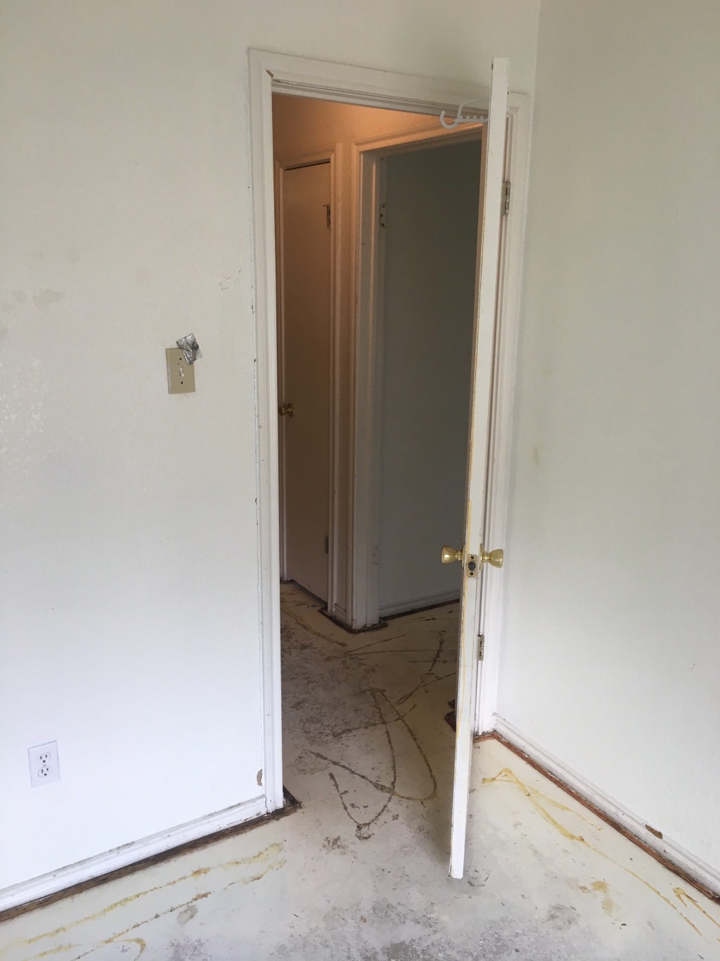 2017/08(August)/Duplex-renter-mess/1024x768_2017-08-05-Disraeli-Renter-Mess-18.JPG