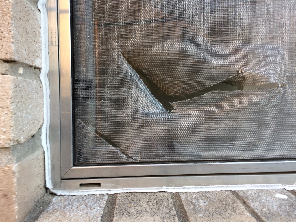 2017/08(August)/Duplex-renter-mess/1024x768_2017-08-10-Disraeli-Renter-Mess-05.JPG