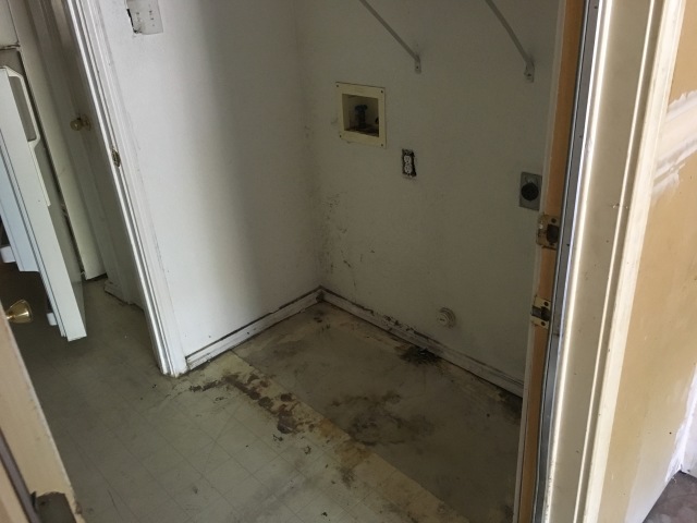 2017/08(August)/Duplex-renter-mess/640x480_2017-08-01-Disraeli-Renter-Mess-04.JPG
