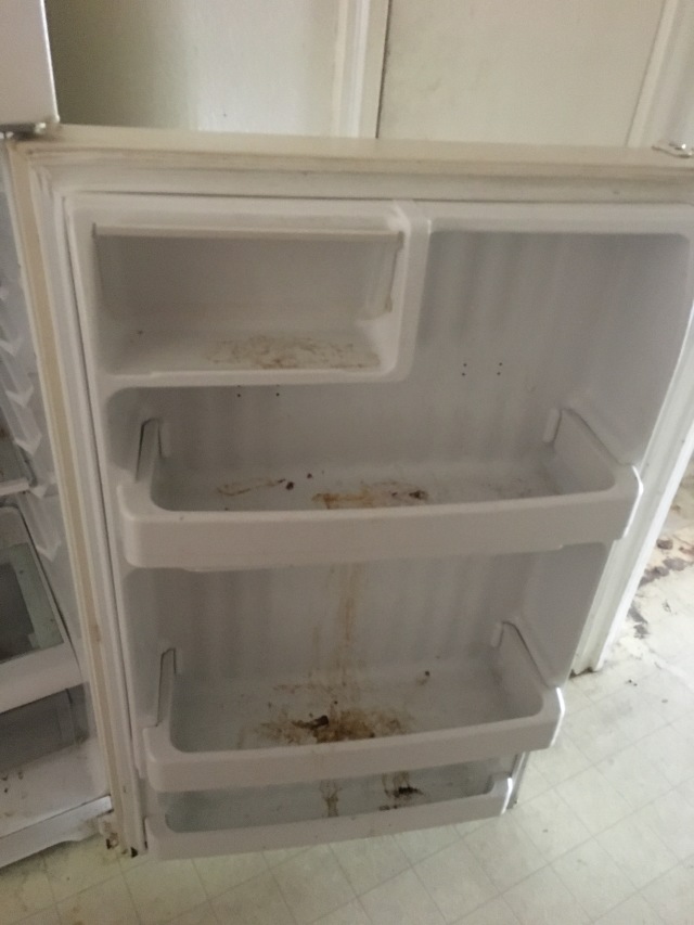 2017/08(August)/Duplex-renter-mess/640x480_2017-08-01-Disraeli-Renter-Mess-08.JPG