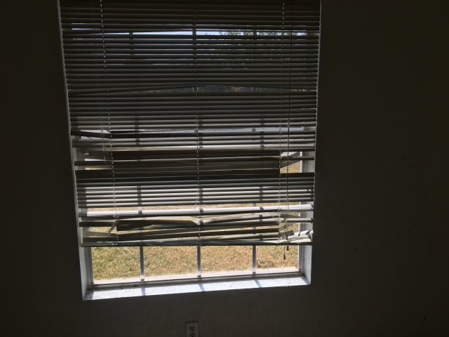 2017/08(August)/Duplex-renter-mess/640x480_2017-08-01-Disraeli-Renter-Mess-17.JPG