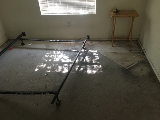 2017/08(August)/Duplex-renter-mess/640x480_2017-08-01-Disraeli-Renter-Mess-21.JPG
