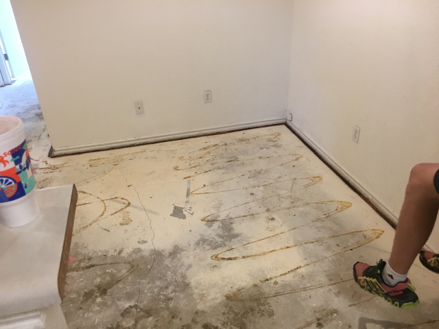 2017/08(August)/Duplex-renter-mess/640x480_2017-08-05-Disraeli-Renter-Mess-06.JPG