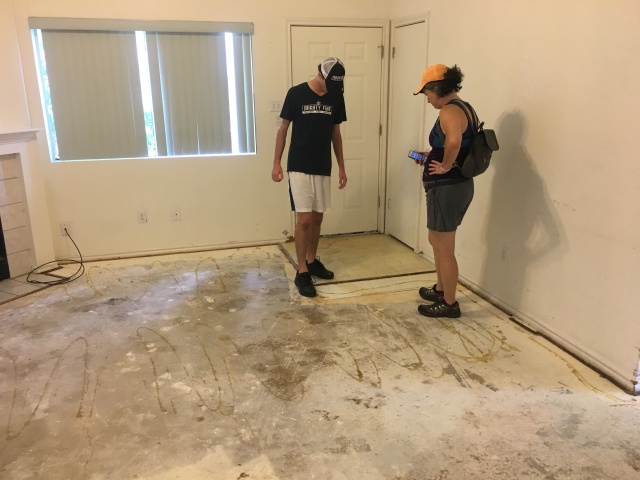 2017/08(August)/Duplex-renter-mess/640x480_2017-08-05-Disraeli-Renter-Mess-07.JPG