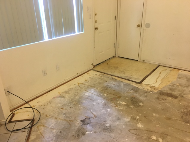 2017/08(August)/Duplex-renter-mess/640x480_2017-08-05-Disraeli-Renter-Mess-10.JPG