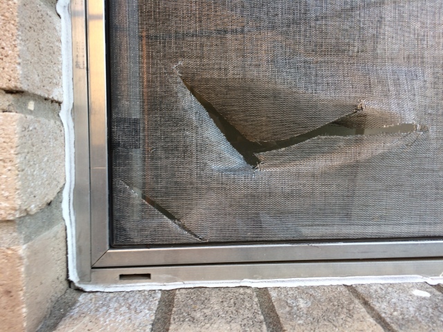 2017/08(August)/Duplex-renter-mess/640x480_2017-08-10-Disraeli-Renter-Mess-05.JPG