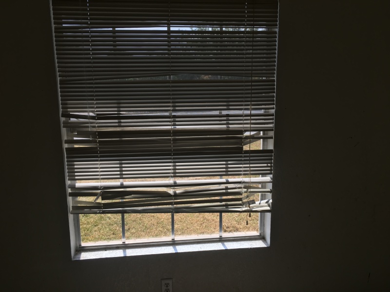 2017/08(August)/Duplex-renter-mess/800x600_2017-08-01-Disraeli-Renter-Mess-17.JPG