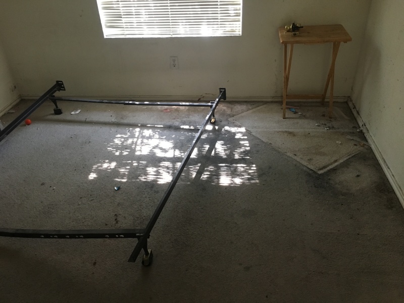 2017/08(August)/Duplex-renter-mess/800x600_2017-08-01-Disraeli-Renter-Mess-21.JPG