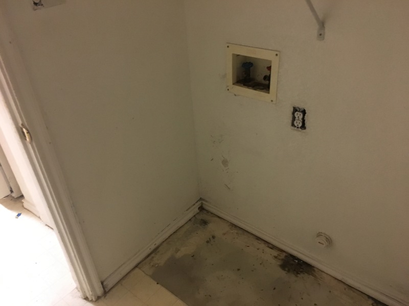 2017/08(August)/Duplex-renter-mess/800x600_2017-08-05-Disraeli-Renter-Mess-02.JPG