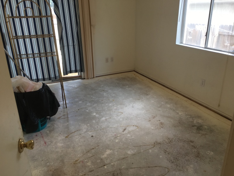 2017/08(August)/Duplex-renter-mess/800x600_2017-08-05-Disraeli-Renter-Mess-08.JPG