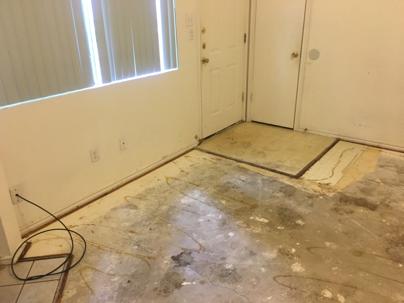 2017/08(August)/Duplex-renter-mess/800x600_2017-08-05-Disraeli-Renter-Mess-10.JPG