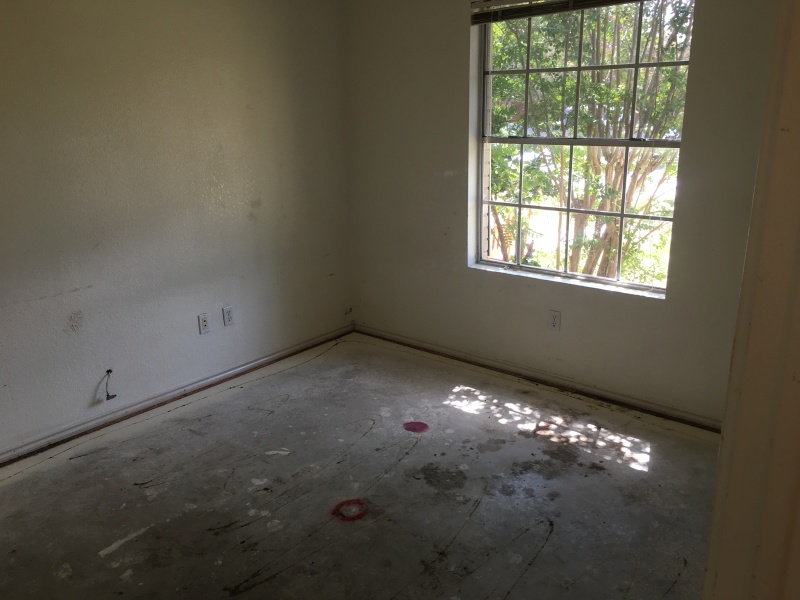 2017/08(August)/Duplex-renter-mess/800x600_2017-08-05-Disraeli-Renter-Mess-13.JPG