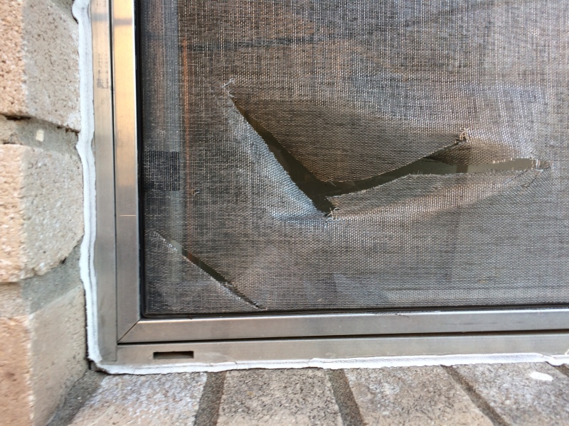 2017/08(August)/Duplex-renter-mess/800x600_2017-08-10-Disraeli-Renter-Mess-05.JPG