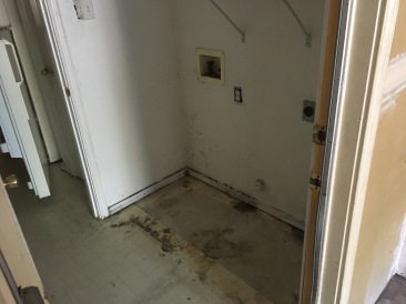 2017-08-01-Disraeli-Renter-Mess-04.JPG