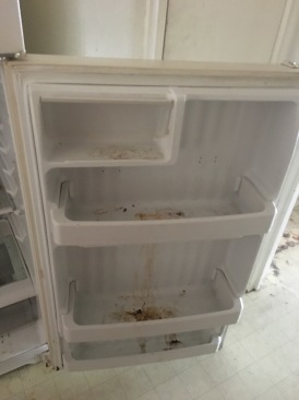 2017-08-01-Disraeli-Renter-Mess-08.JPG