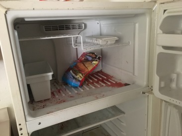2017-08-01-Disraeli-Renter-Mess-09.JPG