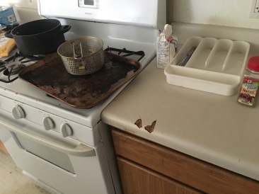 2017-08-01-Disraeli-Renter-Mess-10.JPG