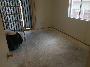 2017-08-05-Disraeli-Renter-Mess-09.JPG