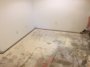 2017-08-05-Disraeli-Renter-Mess-11.JPG