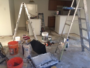 2017-08-10-Disraeli-Renter-Mess-01.JPG