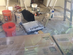 2017-08-10-Disraeli-Renter-Mess-02.JPG