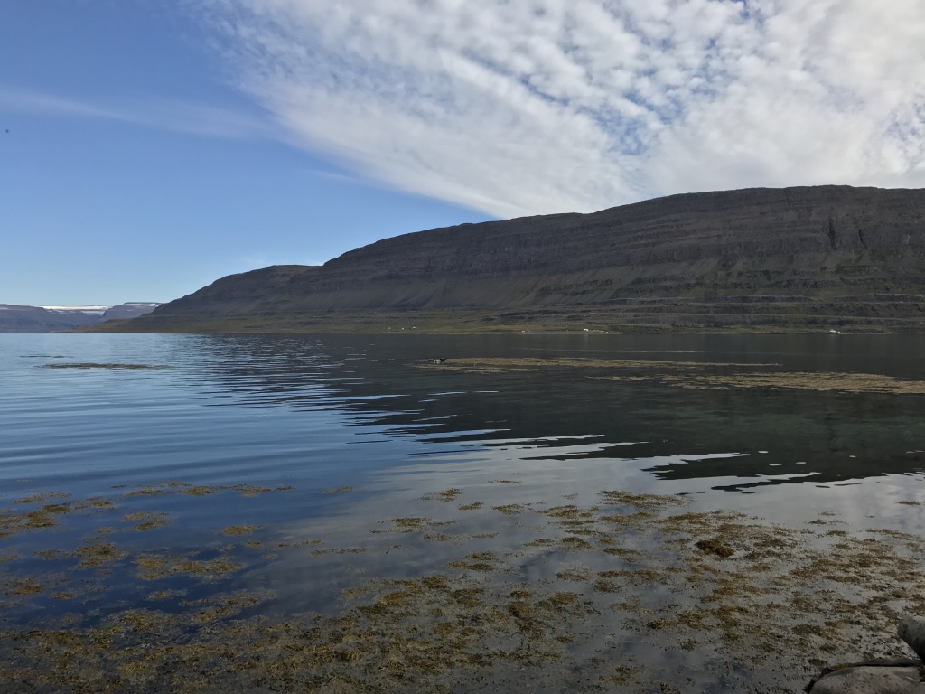 2017-08-29-Iceland-068-near-Djupvegur-seals.JPG