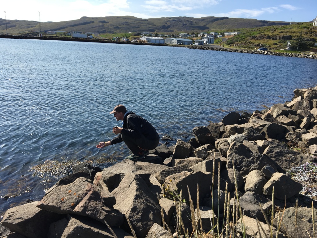 2017/08(August)/Iceland/4Star/1024x768_2017-08-29-Iceland-109-HolmavIk-Travis-touching-the-ocean.JPG
