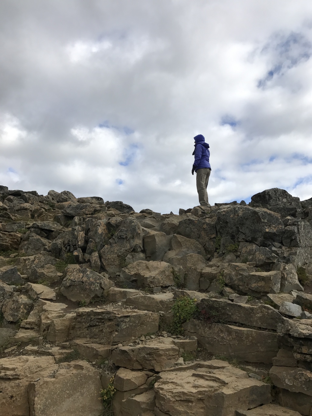 2017/08(August)/Iceland/4Star/1024x768_2017-08-30-Iceland-043-Suzi.JPG