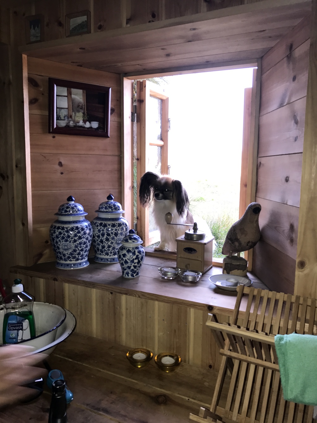 2017-08-31-Iceland-185-Saenautasel-Hobbit-Home-dog-in-the-window.JPG