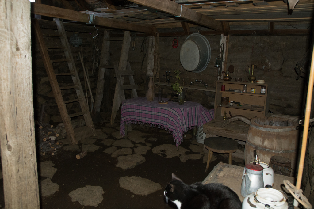 2017-08-31-Iceland-194-Saenautasel-Hobbit-Home-museum.jpg