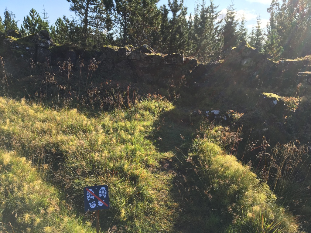 2017-09-05-Iceland-05-Thingvallavatn-Thingville-no-white-footprints.JPG
