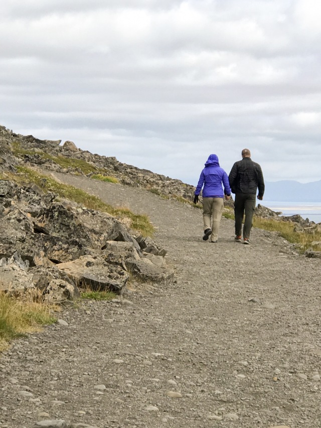 2017/08(August)/Iceland/4Star/640x480_2017-08-30-Iceland-041-Suzi-Travis.jpg