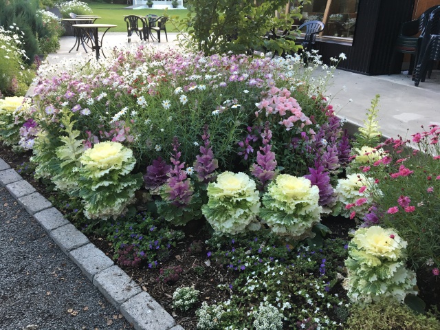 2017-08-30-Iceland-089-Akureyri-botanic-garden.JPG