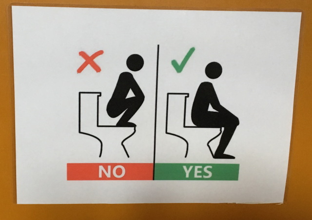 2017-08-31-Iceland-118-Dettifoss-bathroom-sign.JPG