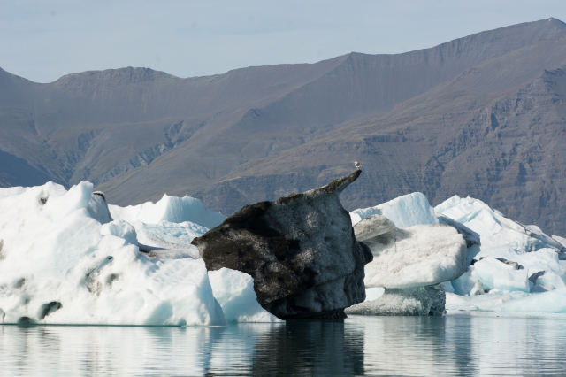 2017-09-01-Iceland-144-Jokulsarlon-Glacier-Lagoon.jpg