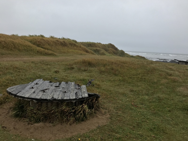 2017/08(August)/Iceland/4Star/800x600_2017-08-27-Iceland-09-Ytri-Tunga-Beach.JPG