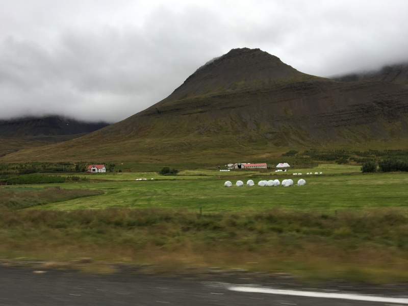 2017-08-28-Iceland-110-Holl-Farm-AirBNB.JPG