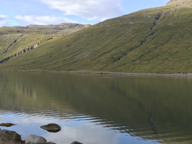 2017-08-29-Iceland-057-near-Djupvegur-whale-watching.JPG