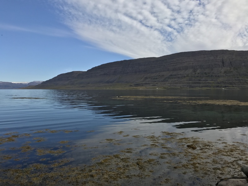 2017-08-29-Iceland-068-near-Djupvegur-seals.JPG