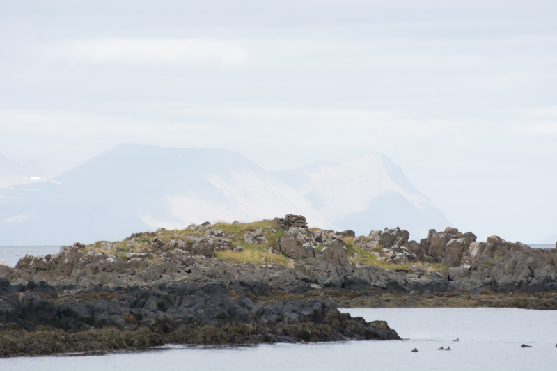 2017-08-30-Iceland-006-Illugastaoir.jpg