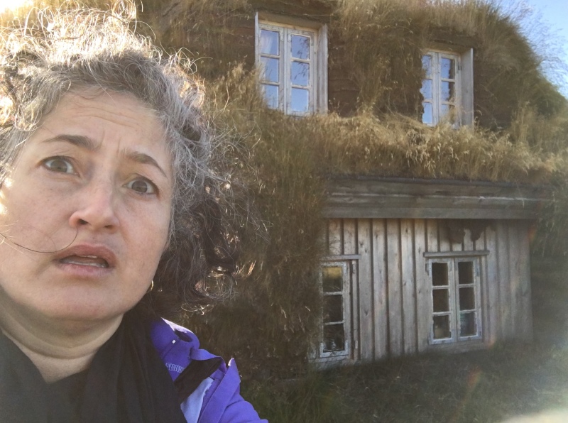 2017/08(August)/Iceland/4Star/800x600_2017-08-31-Iceland-165-Saenautasel-Hobbit-Home-Suzi-GOOD.JPG