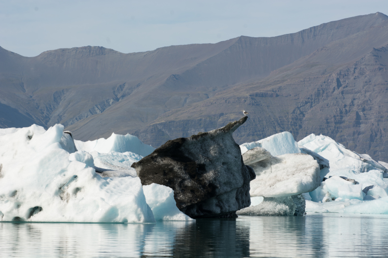 2017-09-01-Iceland-144-Jokulsarlon-Glacier-Lagoon.jpg