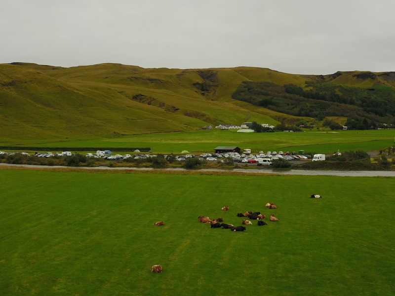 2017/08(August)/Iceland/4Star/800x600_2017-09-02-Iceland-42-Skogafoss-drone-cows.JPG
