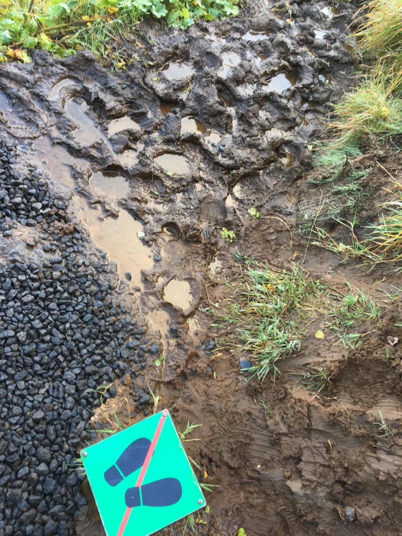 2017/08(August)/Iceland/4Star/800x600_2017-09-03-Iceland-031-Seljalandsfoss-no-black-footprints-sign.JPG