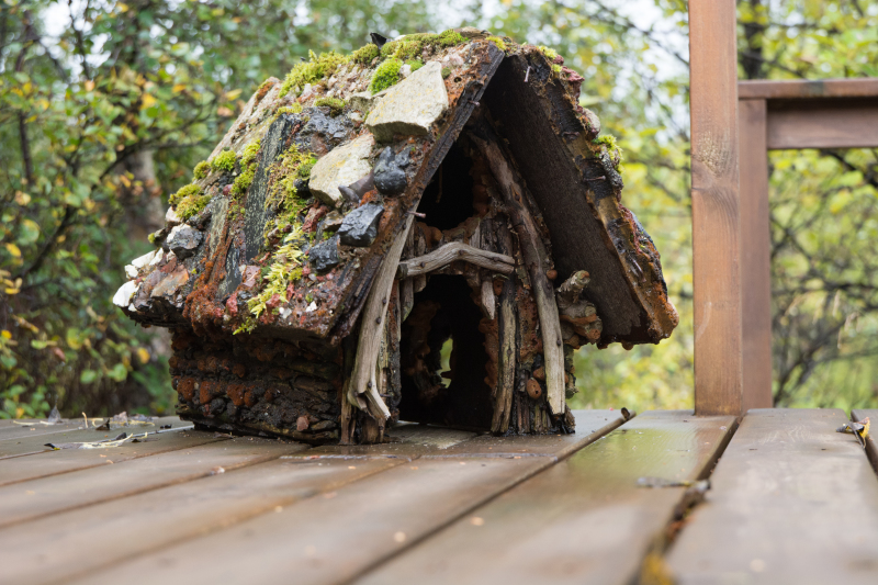 2017-09-04-Iceland-134-AirBnB-Golden-Circle-Wooden-Cottage-by-the-River-birdhouse.jpg
