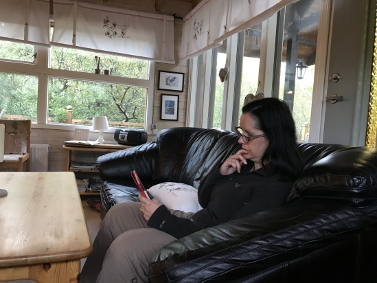 2017-08-26-Iceland-45-Northern-Lights-Cabin-in-Husafell-Kris.JPG