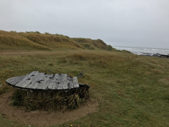 2017-08-27-Iceland-09-Ytri-Tunga-Beach.JPG