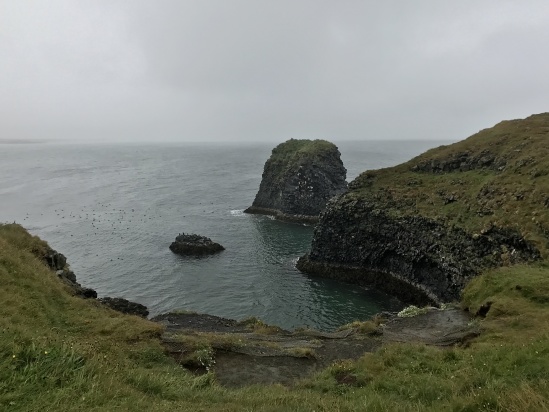2017-08-27-Iceland-24-Arnarstapi.JPG
