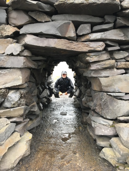 2017-08-27-Iceland-31-Arnarstapi-Badur-Snafellsas-troll-Travis.JPG
