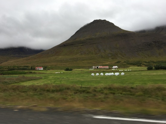 2017-08-28-Iceland-110-Holl-Farm-AirBNB.JPG